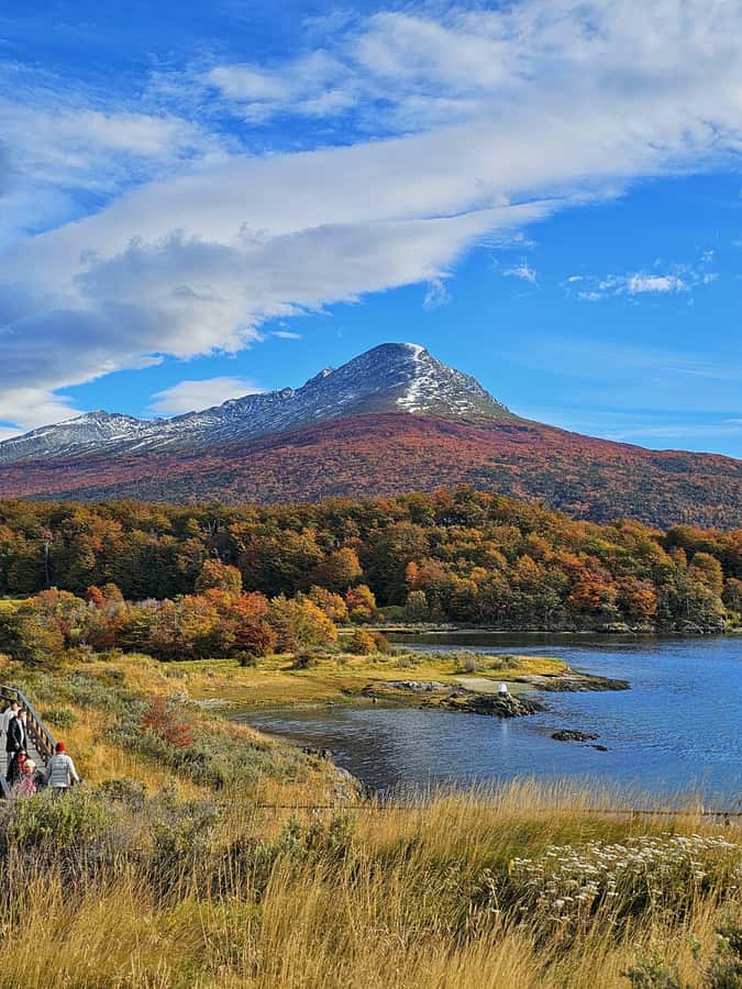 Ushuaia: Tierra del Fuego National Park - What the guide adds to the scenery