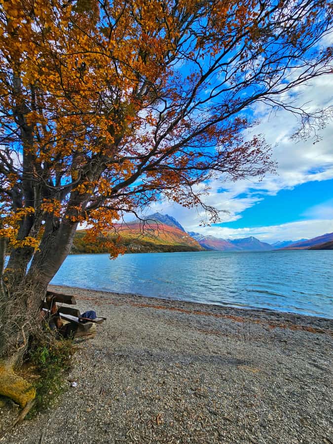 Ushuaia: Tierra del Fuego National Park - The train question: worth the extra money?