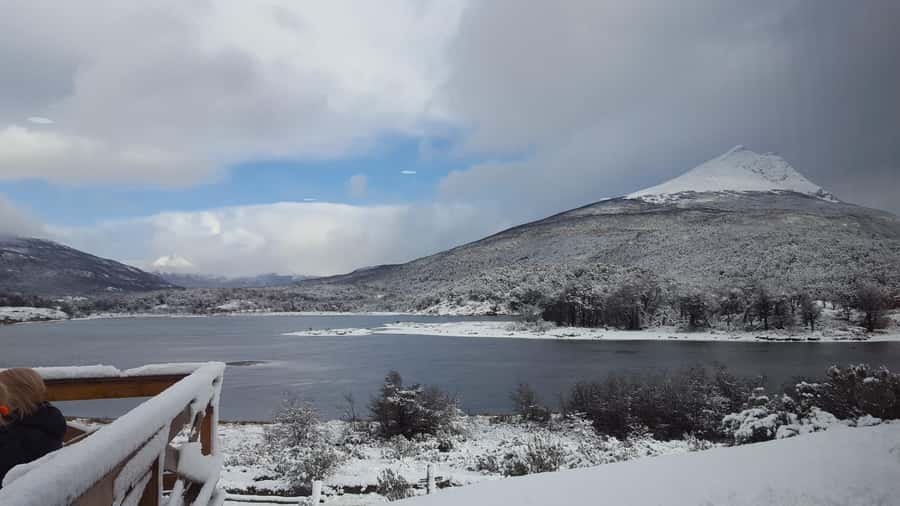 Ushuaia: Tierra del Fuego National Park - Price, extra fees, and the real value